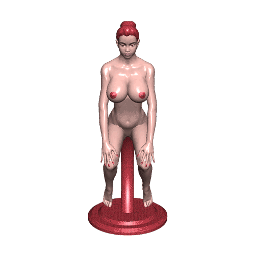 Penetrated woman - 3D model önizlemesi