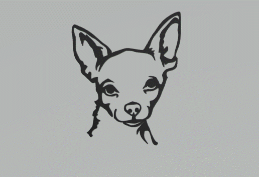 Chihuahua2.gif Chihuahua