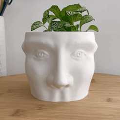 E33D1A8D-7FF9-4C23-8DE2-77F54F33AD57.gif STL file MODERN HALF HEAD PLANTER・3D print model to download