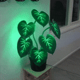 Interactive-plant.gif Plante interactive - avec instructions