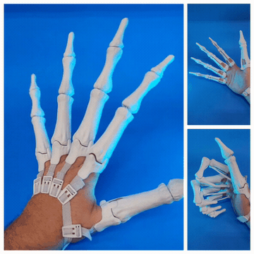 New  Easier Build Setup-Articulated Skeleton Hands