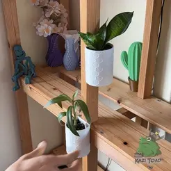 plant-gif.gif Mounted Plant Pot with Watering Snorkel