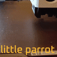GIF_20240311_072129_262.gif little parrot