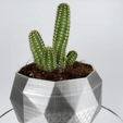 VASE - 10