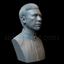 IpMan.gif 3D file Donnie Yen as Ip Man・3D printable model to download