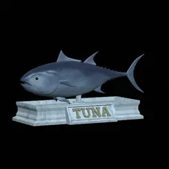 Tuna-model.gif fish tuna bluefin / Thunnus thynnus statue detailed texture for 3d printing