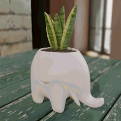 animacion.gif Descargar archivo Planter elephant pot succulent plants for home • Diseño para imprimir en 3D, Randy_Romero