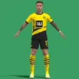 Video_2023-09-03_010934.gif 3D Rigged Marcos Reus Borussia Dortmund 2024