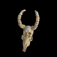 Video_1686773268.gif Human skull / Goat merged