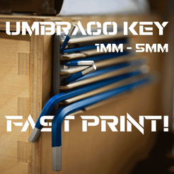 UmbracoKey.gif STL file Umbraco Wall Storage・3D print design to download
