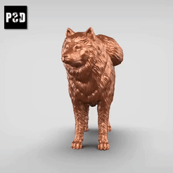 00.gif Archivo STL Samoyedo V2・Plan de impresora 3D para descargar, peternak3d