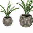 patron-circular_.gif Pot for plants, small and large circle pattern - Pot for plants, small and large circle pattern