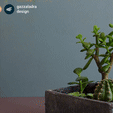 02.gif Файл STL Плантер "Экстра"・Дизайн для загрузки и 3D-печати