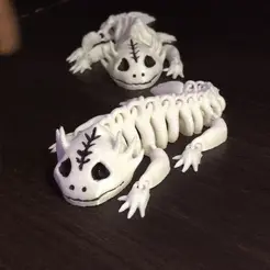 1-2.gif Axolotl Articulated Flexible Skeleton