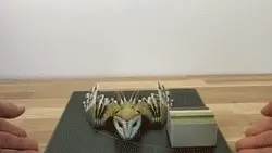 1-lechuza.gif Schleiereule (Tyto alba)