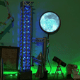 Starshipsn20.gif スターシップSN20