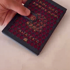 pss.gif STL file Passport holder cover case・3D printing idea to download