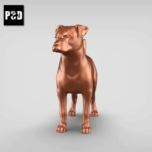 Patterdale Terrier V1 3D model