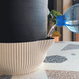 Self Watering Planters
