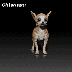 Chiwawa.gif STL-Datei Chihuahua - Chiwawa - HUNDE RASSE - KANINE -3D PRINT MODEL・3D-druckbares Design zum Herunterladen, adamchai