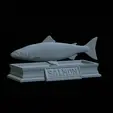 Salmon-statue-5.gif Atlantic salmon / salmo salar / losos obecný fish statue detailed texture for 3d printing