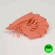 shrimp_01.gif 3D file Flexy Shrimp・3D printable design to download
