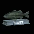 Bass-statue-4.gif fish Largemouth Bass / Micropterus salmoides statue detailed texture for 3d printing