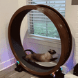RP_Run.gif 3D file Cat Exercise Wheel・3D printing idea to download