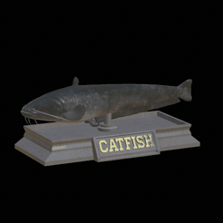 Zander-model-1.gif Fichier STL statue de poisson-chat texture détaillée pour impression 3d・Design imprimable en 3D à télécharger