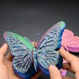 1.gif STL file Butterfly jewelry box・3D printing template to download