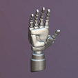 Hand.gif Cyborg Hand