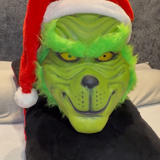 IMG_6112-2.mp4 Grinch