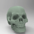 crâne-slice.gif Skull slice