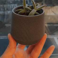 ezgif.com-gif-maker-1.gif Download STL file Cactus Pot 3 of 3 • Design to 3D print, onurcanbaytok