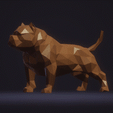 Sin-título.gif American Bully Dog