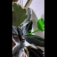 plant-support-v2.gif Base de plantas V2