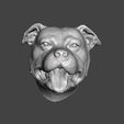 GIF.gif DOG HEAD STAFFORSHIRE BULL TERRIER STAFFY PITBULL DOG .obj .stl