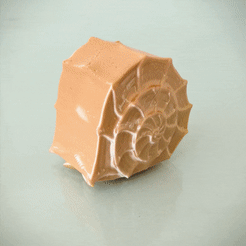 ezgif.com-gif-maker-2.gif STL file Cute Seashell Octopus・3D printer model to download
