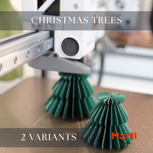 CHRISTMAS-DECORATION-TREE.mp4 DÉCORATION DE NOËL - ARBRE AVEC ÉTOILE - 2 VARIANTES