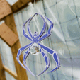 IMG_0630-1.gif Spider Sun Catcher