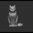 Vídeo-sin-título-‐-Hecho-con-Clipchamp.gif Seated cat body