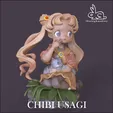 Chibi-Usagi-Tsukino-Serena-by-Ikaro-ghandiny-3.gif Chibi Usagi (Sailor moon)