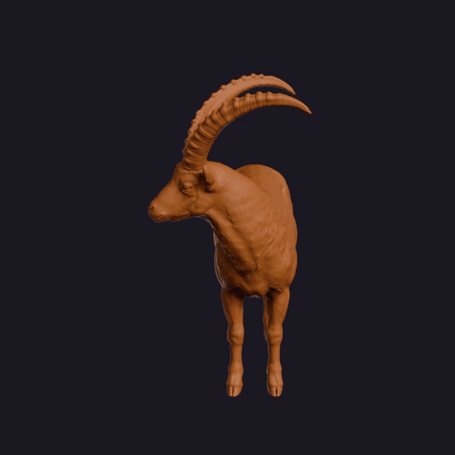 Realistic Alpine Ibex Looking Side Animal Sculpture