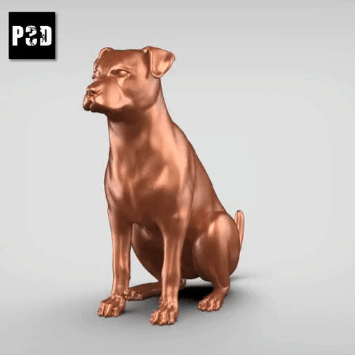 Patterdale Terrier V2 3D model