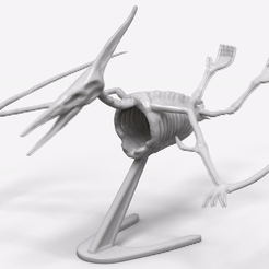 Pterodactyl-GIF-gif.gif STL-Datei Skelett eines Pterodaktylus・Modell für 3D-Drucker zum Herunterladen