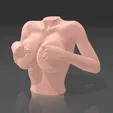 01.gif Beautifully shaped female bust - STL 3D Printer