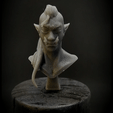 VID_20230729_180736-0-_2.gif Orc Bust