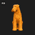 024-Airedale_Terrier_Pose_06.gif Airedale Terrier Dog 3D Print Model Pose 06