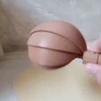 20190421_104802_001_1.gif STL-Datei Coquille spirale - Spiral Shell kostenlos・Design zum 3D-Drucken zum herunterladen