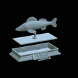 Zander-money-3.gif fish sculpture of a zander / pikeperch with storage space for 3d printing